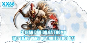 3 Trận Đấu Đá Gà Thomo Tạo Tiếng Vang Qua Nhiều Thời Đại