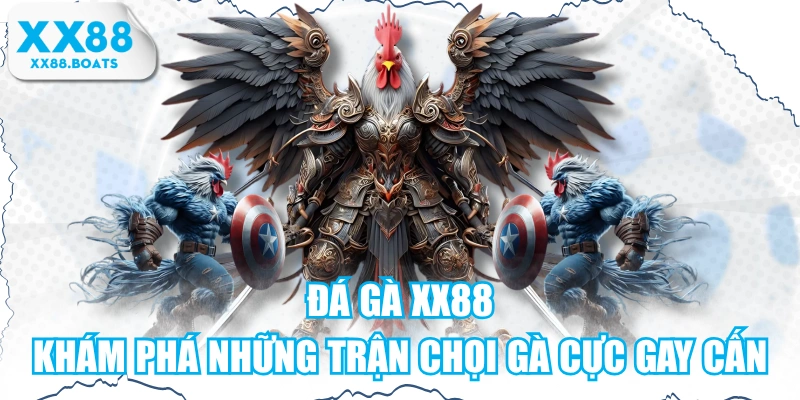 Đá Gà XX88 - Khám Phá Những Trận Chọi Gà Cực Gay Cấn