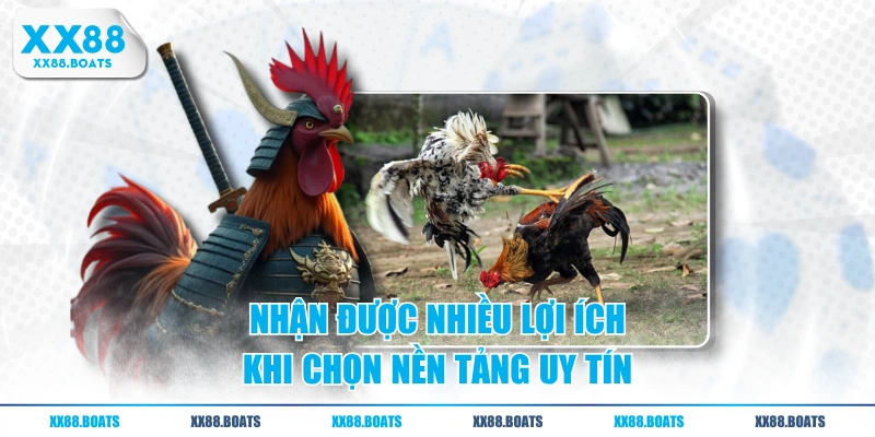 Nhận được nhiều lợi ích khi chọn nền tảng uy tín