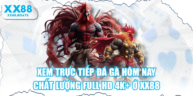 Xem Trực Tiếp Đá Gà Hôm Nay Chất Lượng Full HD 4K+ Ở XX88